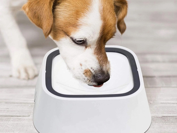 Bebedero flotante para perro y gato 1l bebedero lento antisalpicaduras