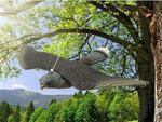 Ahuyentador de aves estorninos palomas roedores halcón