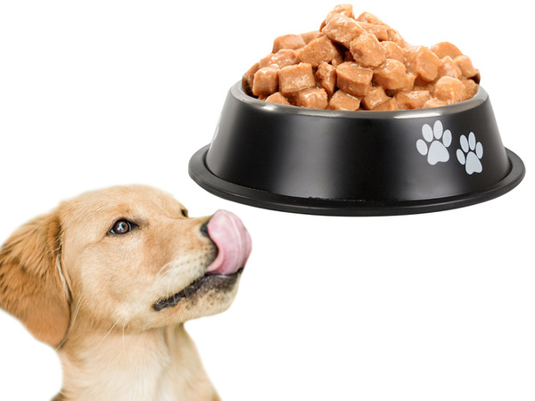 Comedero metálico antideslizante para perros grande 1l