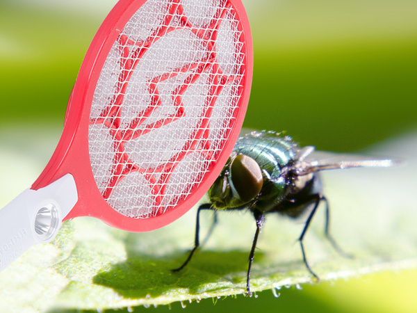 Elektrická paleta na chytanie múch balenie na chytanie komárov mole akum.