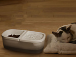 Bebedero automatico 2en1 usb fuente cuenco gato perro agua y comida