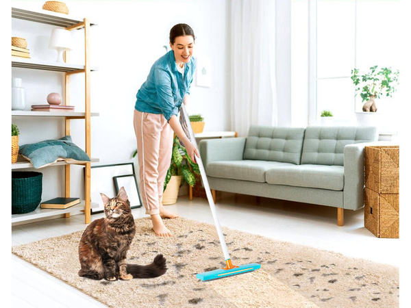 Brush to pick up dog hair removal from carpet carding