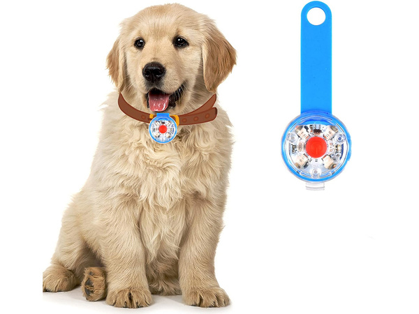 Led luminaire for dog collar cat collar pendant usb