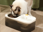 Abreuvoir automatique pour chat fontaine d'eau pour chien filtre bol alimentaire