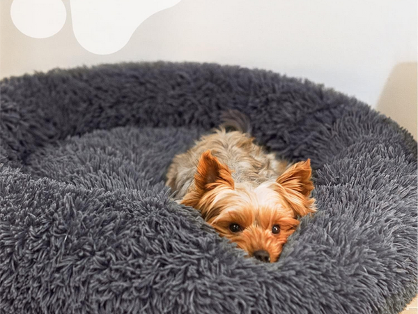 Fluffy dog bed cat bedding soft cushion couch bedding 50cm