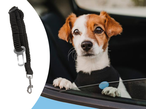 Cinturón de seguridad del coche correa de perro elástico estiramiento fuerte