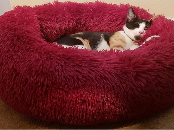 Fluffy dog bed cat bedding soft cushion couch bedding 50cm