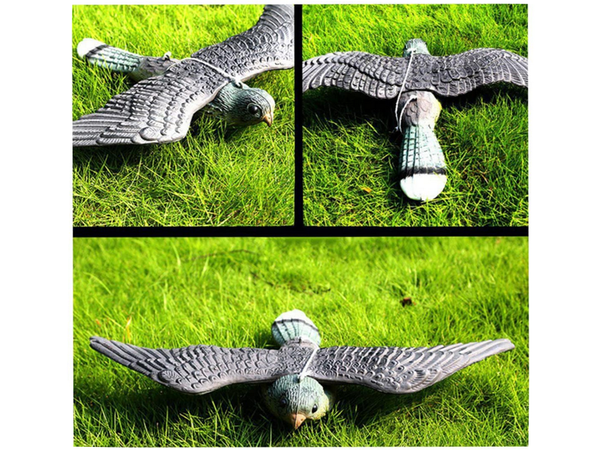 Ahuyentador de aves estorninos palomas roedores halcón