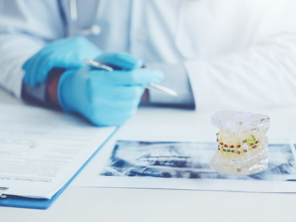 Modelo dental mandíbula dientes ortodoncia