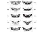 Tatouage halloween fausses dents réaliste lavable déguisement temporaire