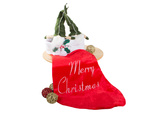 Weihnachtsgeschenk socke michael gross
