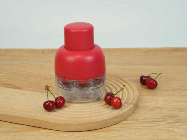 Cherry, sweet cherry and olive pitter with container, manual seed extractor