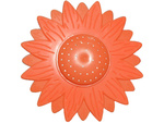 Domyślna nazwa