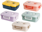 Lunchbox hommikusöögi konteiner lõunasöögi lahtritega söögiriistad