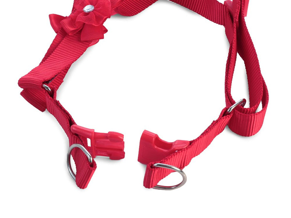 Leash with harness dog cat rabbit p1.5
