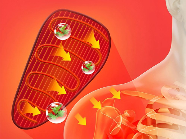 Komolec komolec ramenski maser z ogrevanjem vibracij 3 usb načini