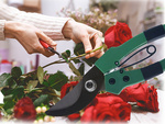 Podadora manual para arbustos podadora para plantas