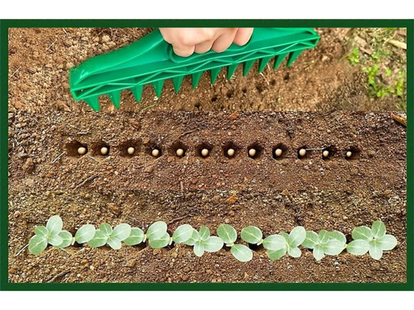 Hand-held 12-hole punch planter garden planter