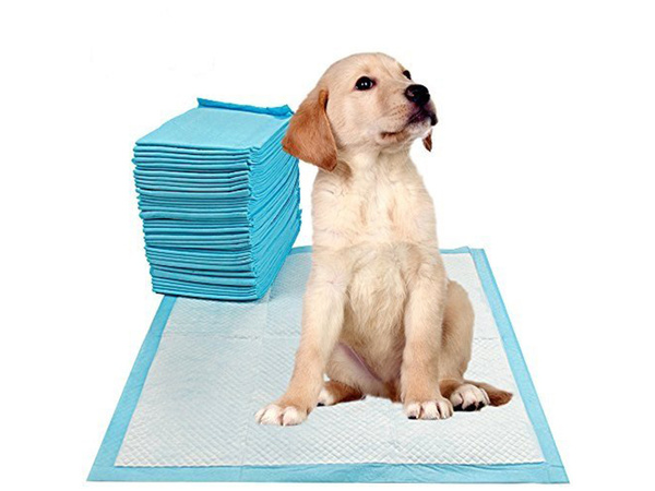 Mats para perros teaching to teach peek 60x90 20 hojas