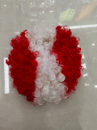 LĪDZĒJU PARŪKA (100)