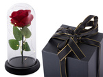 Everlasting rose in glass gift led luminous box