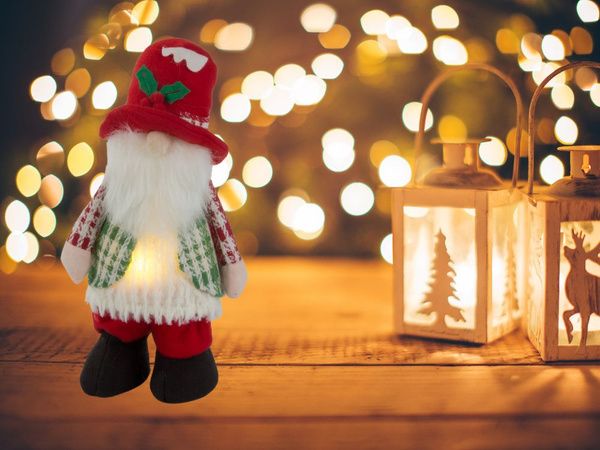 30cm ghost ghost lighted led bird árbol de navidad gnomos