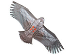 Drachenvogel adler 2m vogelabschreckung mit leine