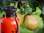 PRESSURE SPRAYER GARDEN HAND SPRAYER LONG LANCE 5L BELT