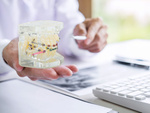Modelo dental mandíbula dientes ortodoncia
