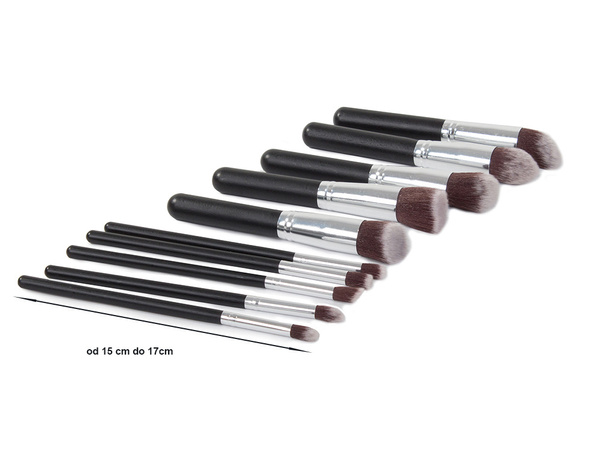 Set of professional make-up brushes 10 pieces