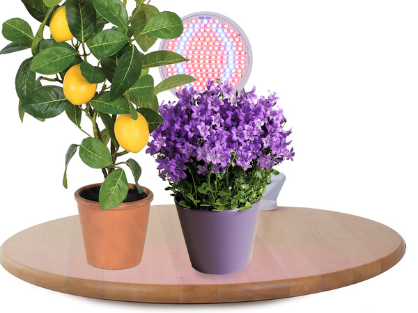 Panel 200 lampara led para cultivo de plantas 20w crecimiento
