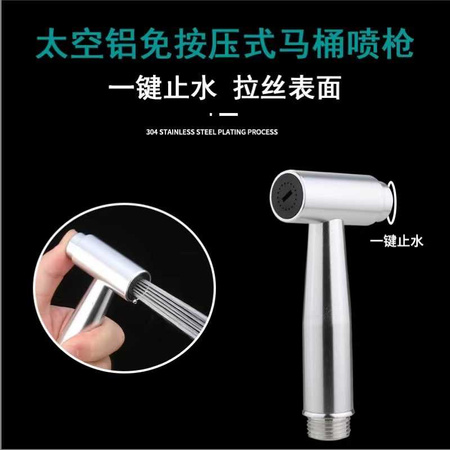 BIDET SPRAY HEAD (200)