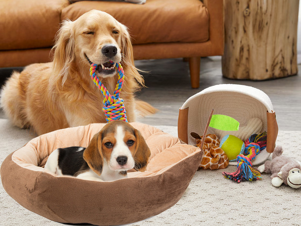 Pliušinė lova pagalvėlė šuniui žaidimų aikštelė katei minkšta sofos patalynė