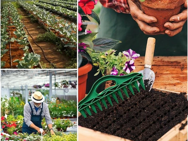 Rankinis 12 skylučių perforatorius sodo sodinukas