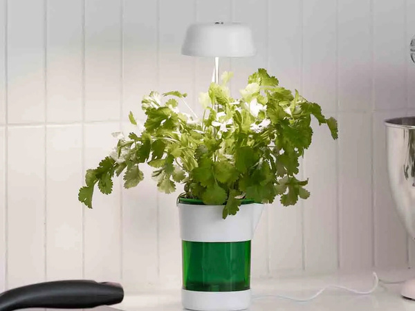 Plant growth panel lamp 6 led 4 uv self watering pot