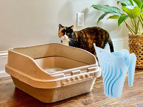 Caja de arena para gatos pala pala grande