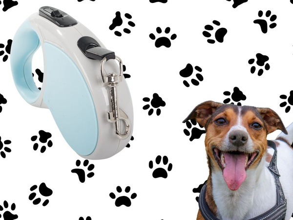 Laisse automatique 5m pour chien jusqu'à 15kg avec cadenas strong long