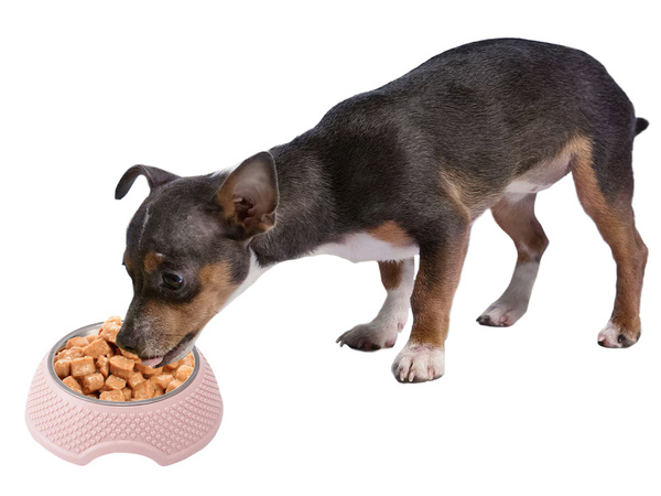 Coupe pour chiens en metal avec insertion enlevable 350ml