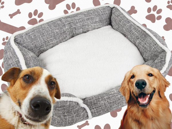 Cama para perro suave y confortable cama mullida con cojín de tamaño l