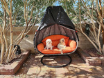 Cocoon hanging chair cover garden swing waterproof cover case