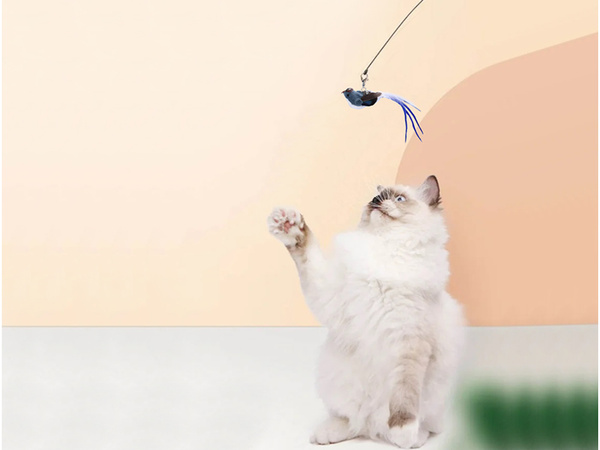 Cat rod interactive toy with suction cup movable birdie
