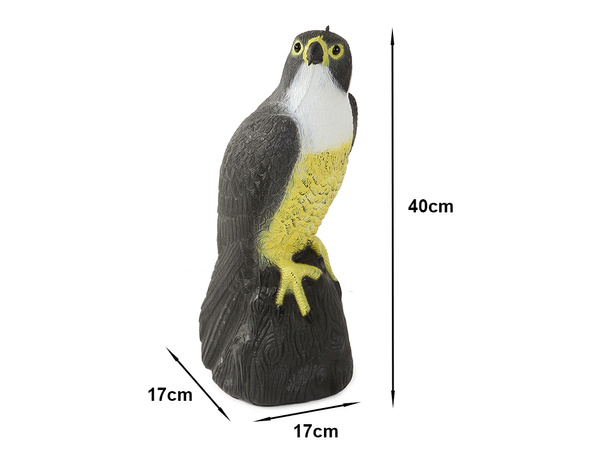 Falke vogel abschreckung stare tauben mäuse gross