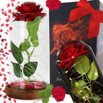 Everlasting rose in glass red led gift luminous for an occasion for women