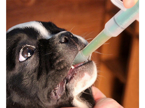 Aplicador de comprimidos de medicamentos dispensador de leche jeringa alimentador
