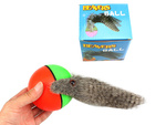 Furet balle de course jouet chat fugueur