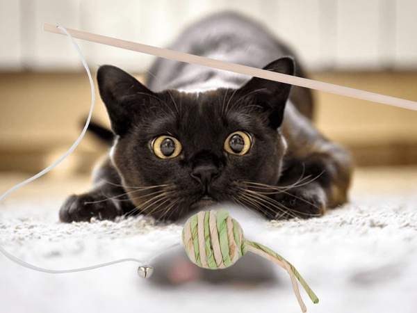 Juguete para gatos caña de pescar pelota sonajero juguete