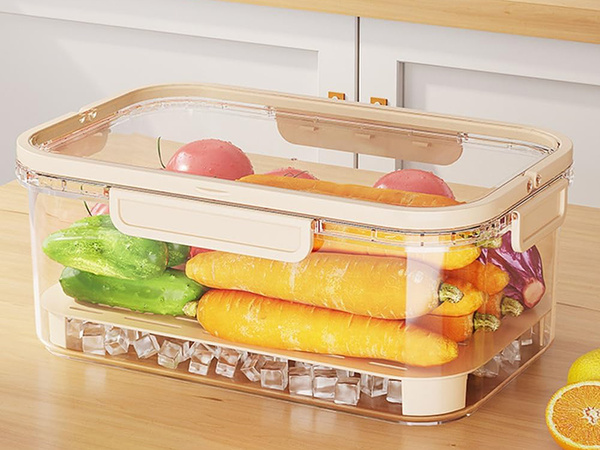 Food containers for storage at low temperatures cooling insert