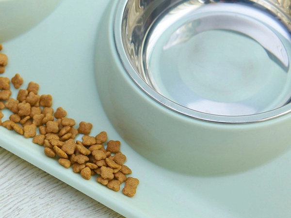 Dvojna posoda za psa in mačko kovinska s podstavkom