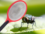 Cazamoscas eléctrico bolsa para mosquitos polillas moscas