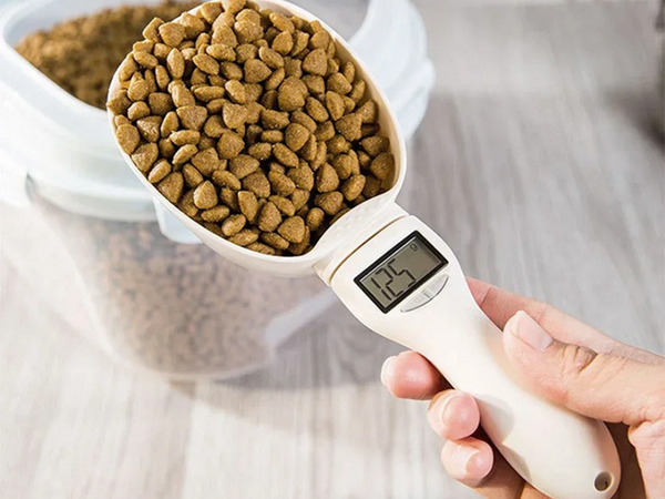 Vidrio electrónico lcd digital peso por balanza 800g